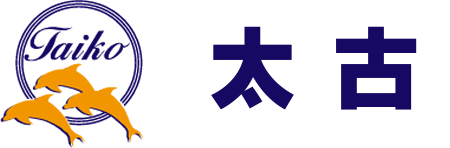 往返于博多与五岛之间的定期渡轮