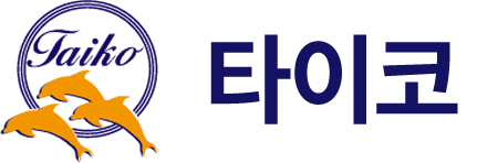 하카타~고토를 연결하는 정기 페리